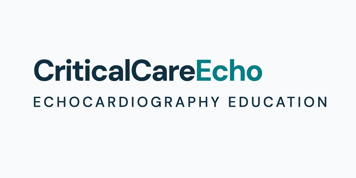 CriticalCareEcho
